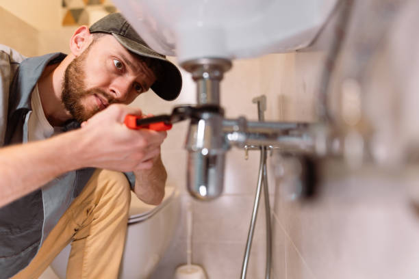 Best Local Plumber Services  in West Peoria, IL